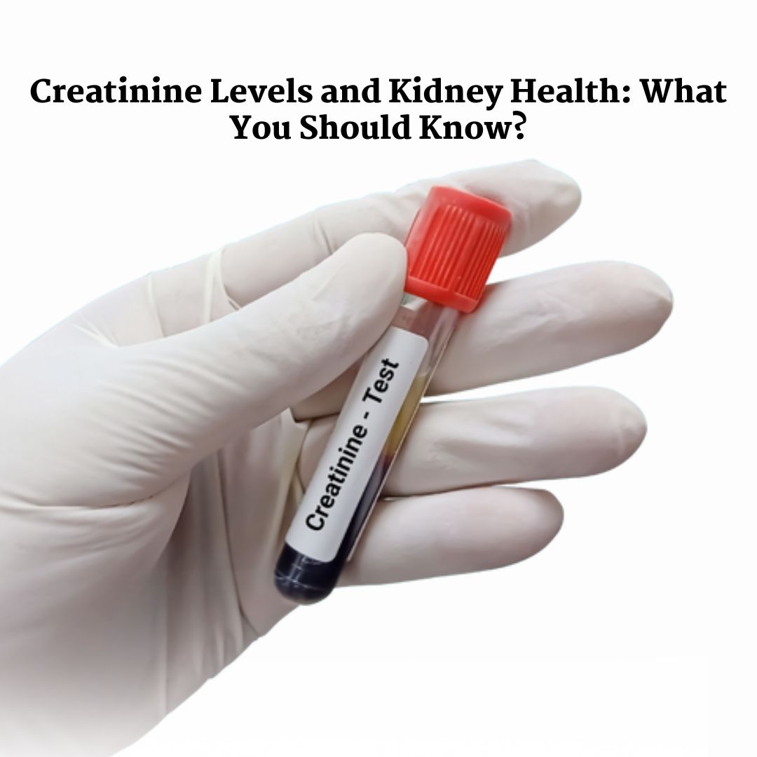 Creatinine Levels and Kidney Health explained: Key indicators for kidney function