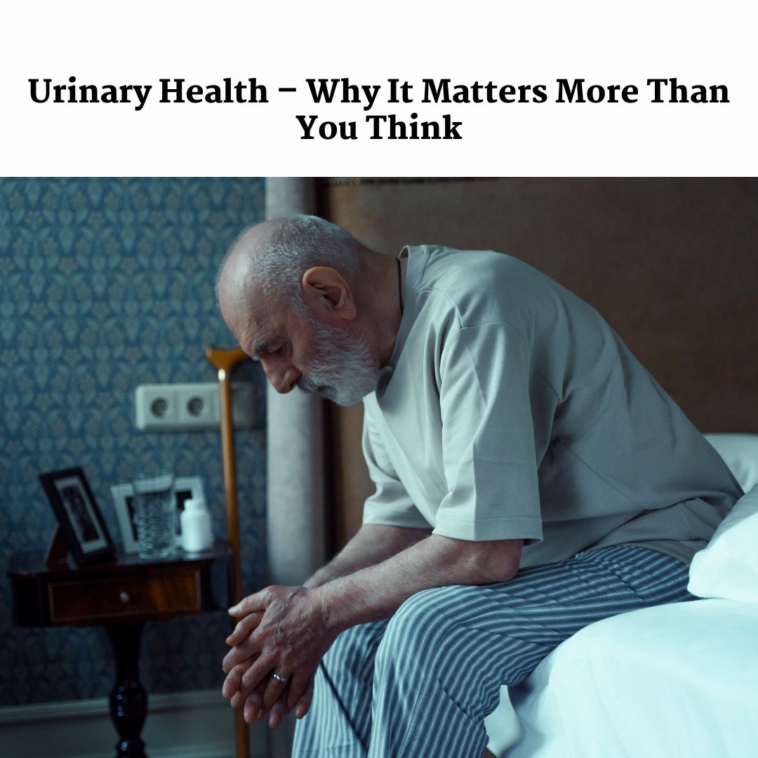 Male urinary system anatomy showing kidneys, bladder, and prostate – urinary health in men