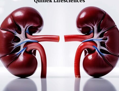 Top Nephrology Pharma Kerala – Quinek Lifesciences