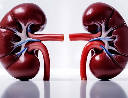 Top Nephrology Pharma Kerala – Quinek Lifesciences