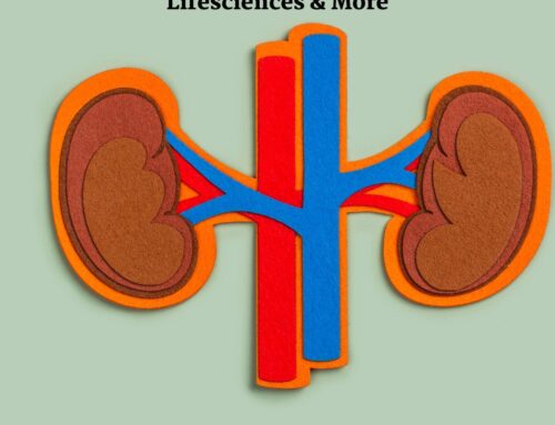 Top Urology Company India 2025 | Quinek Lifesciences