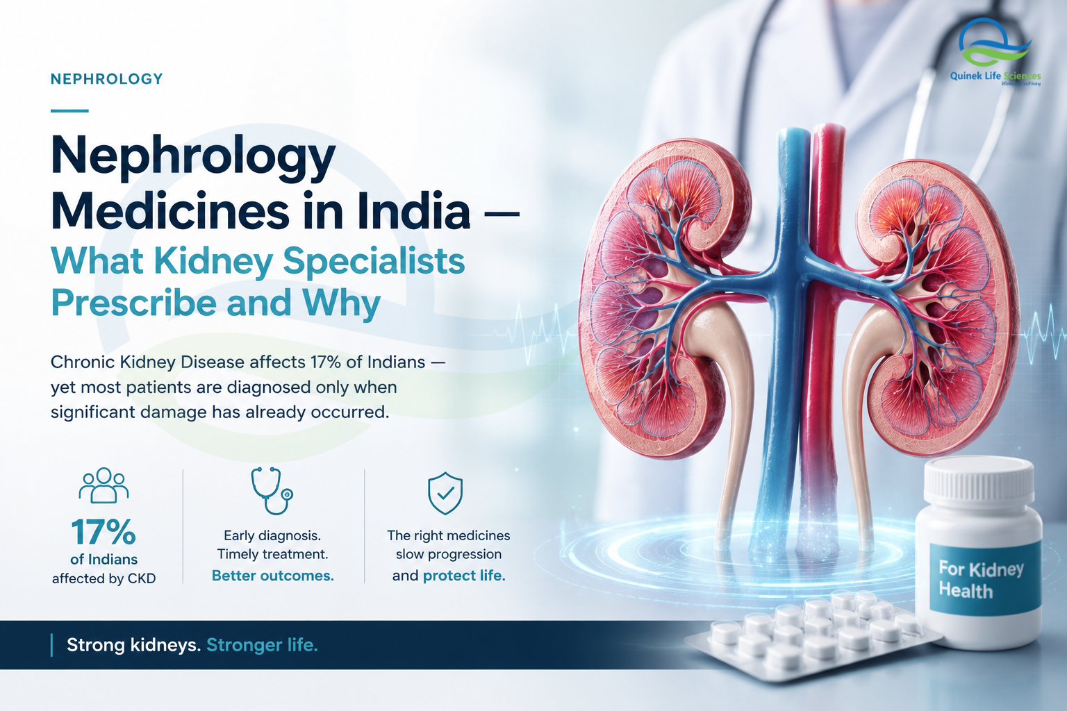 Nephrology medicines in India – kidney specialists prescribing medicines for chronic kidney disease treatment - Quinek Life Sciences