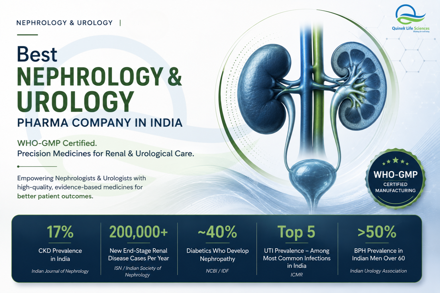Quinek Life Sciences is certified nephrology & urology pharma company in India. Explore our renal & urological pharmaceutical portfolio.