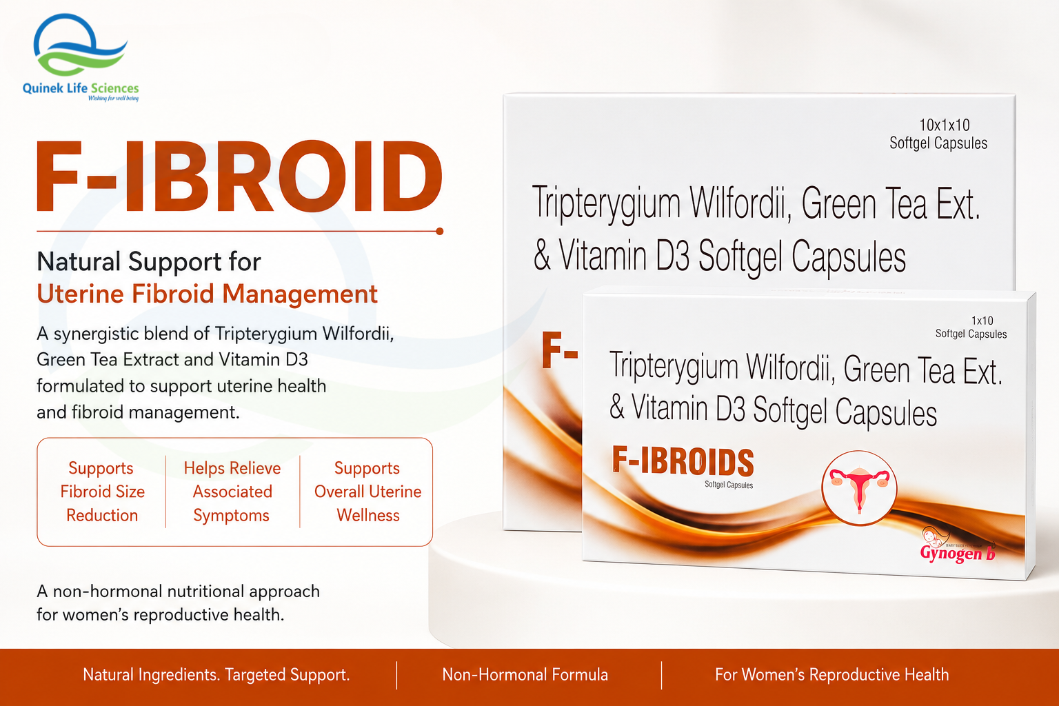 F-ibroid Tripterygium Wilfordii Green Tea Extract Vitamin D3 capsule for uterine fibroid management by Quinek Life Sciences India